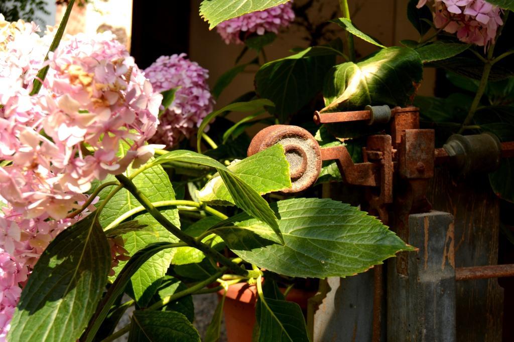 Marakasa B&B Sant Antoni De Calonge Ngoại thất bức ảnh
